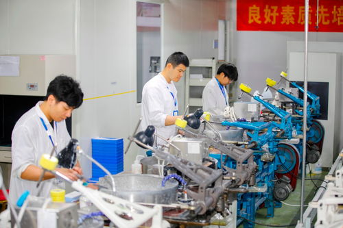 多措并舉促發(fā)展 金融活水精準(zhǔn)澆灌計(jì)算機(jī)系統(tǒng)服務(wù)科創(chuàng)之花
